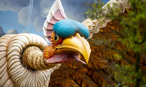 Eingang Vogel Rok Eingang Vogel Rok