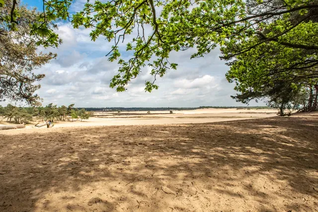 de-loonse-en-drunense-duinen-uitkijkpunt
